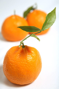 Tangerine夜店與葉宏