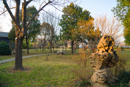 小區(qū)綠化