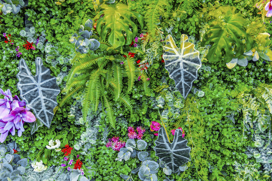 鮮花墻 綠色植物墻