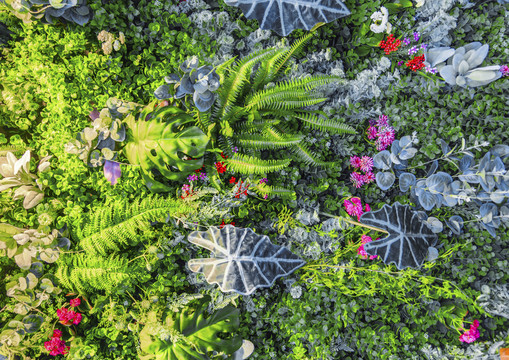 鮮花墻 綠色植物墻