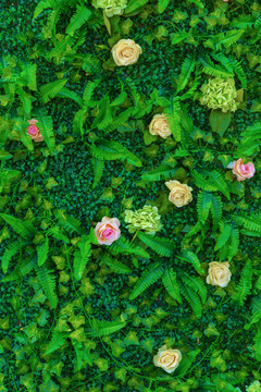 鮮花墻 綠色植物墻