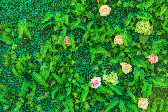 花墻 綠色植物墻