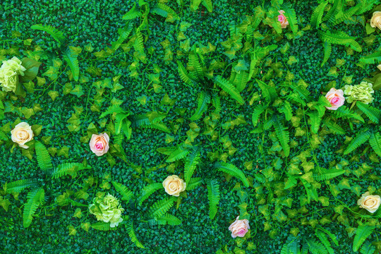 花墻 綠色植物墻