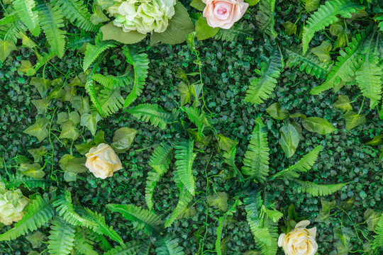 花墻 綠色植物墻