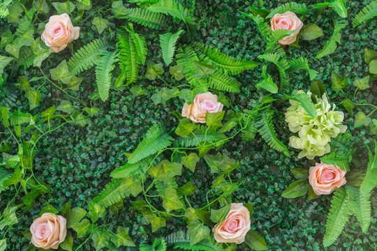 花墻 綠色植物墻