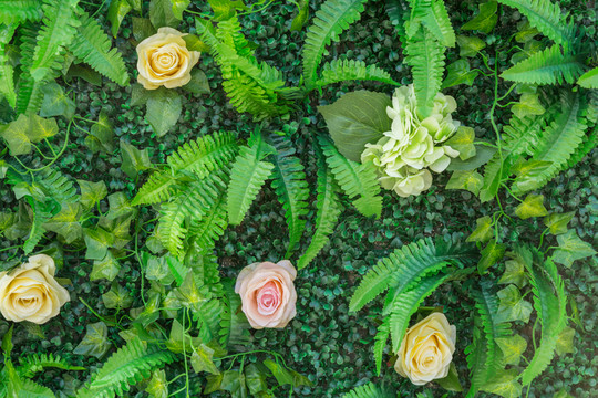 花墻 綠色植物墻
