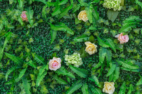 花墻 綠色植物墻