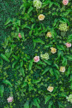 花墻 綠色植物墻