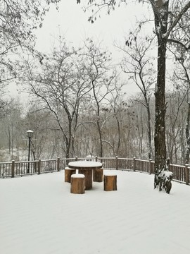 雪景