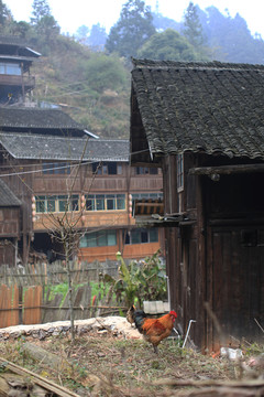 地筍苗寨 湘西 少數(shù)名族 山寨