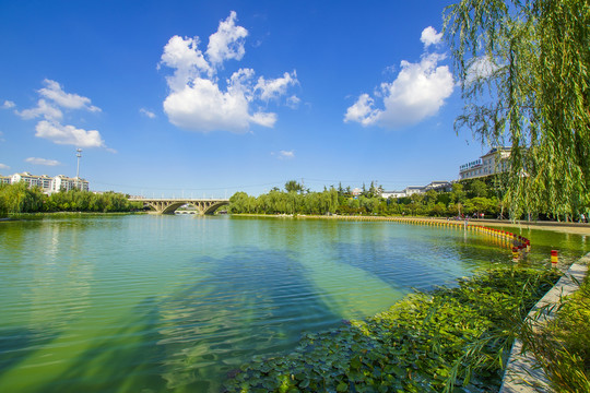 碧水藍天
