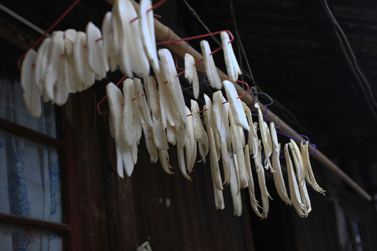黔陽古城 著名景點 旅游勝地