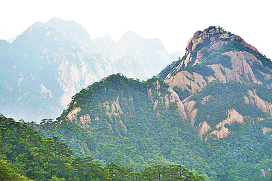 泰山