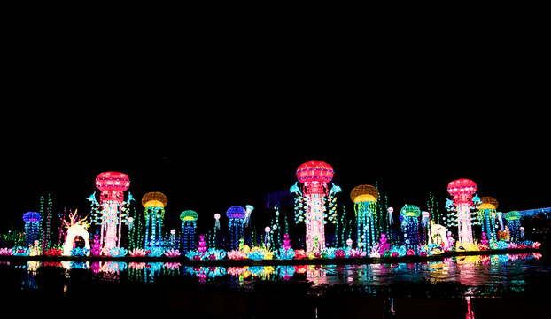 大型奇異花燈