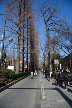 南京冬日街道