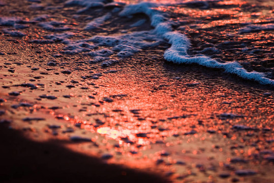 海
