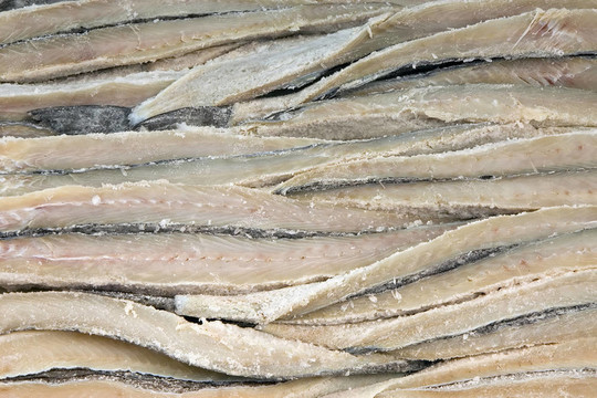 鱈魚