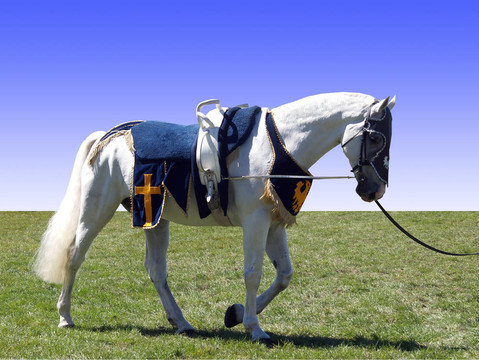 馬Vaulting Saddle