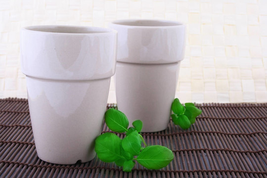 白色背景上的兩杯白茶