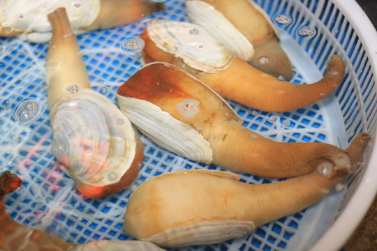 海鮮