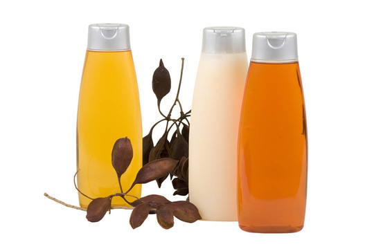 帶種子的洗發(fā)水和護(hù)發(fā)素