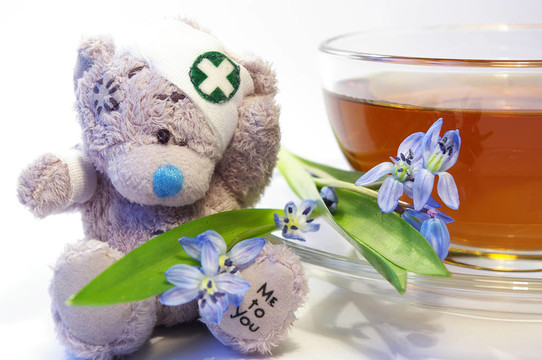 雪花蓮；熊和一杯茶