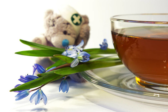 雪花蓮；熊和一杯茶
