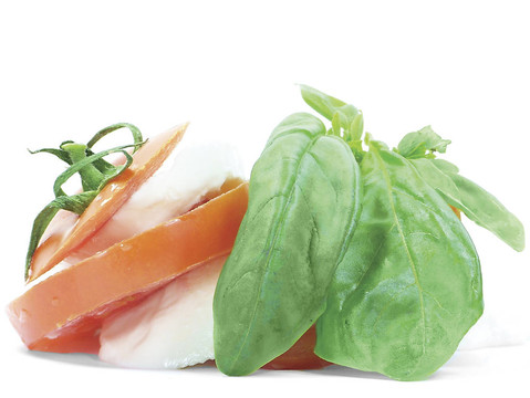 番茄；Mozzarella And Bas