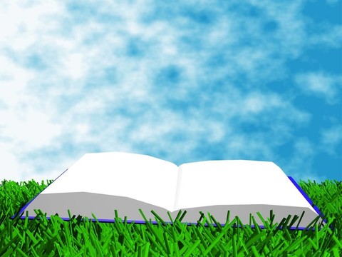 書在草地上映襯著天空