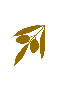 用橄欖枝