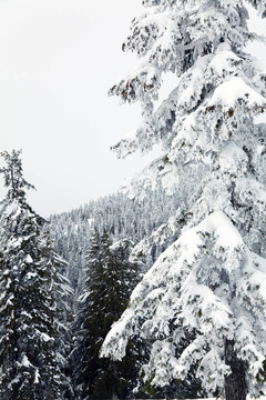 雪山