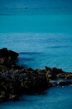 視圖中的海洋