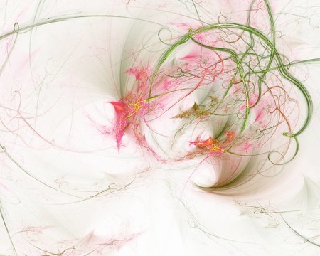 花的抽象