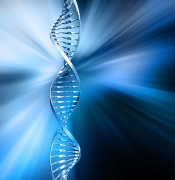 摘要DNA