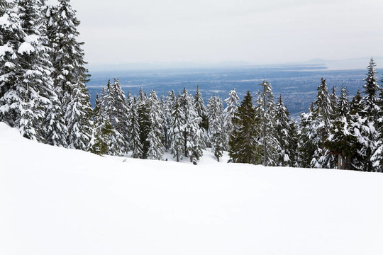 雪山