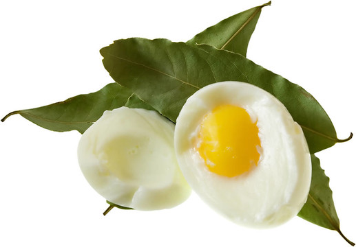 EgG5