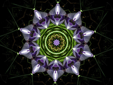 花