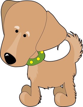 金毛獵犬