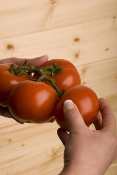 女子手持四有机西红柿