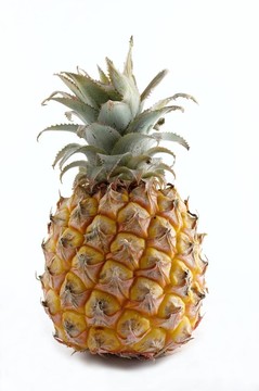 菠蘿