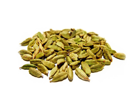 茴香