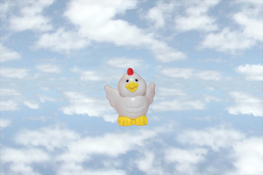 飛小雞2