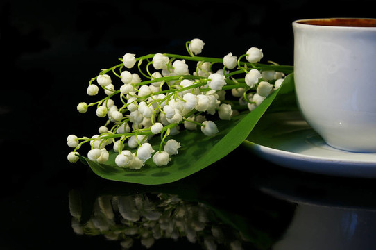花和白一杯黑咖啡