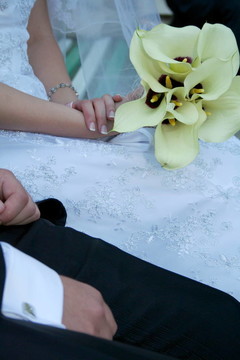 剛剛結(jié)婚