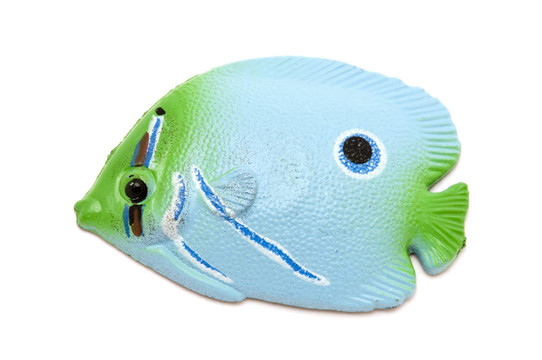 藍(lán)色的魚的磁鐵