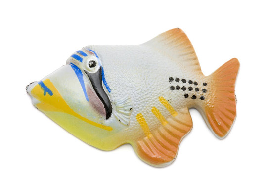 魚磁宏