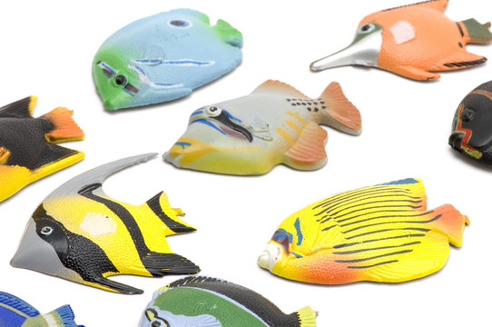 魚磁鐵集