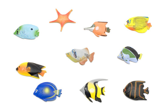 白色的魚磁鐵集