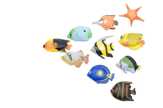 魚磁鐵組