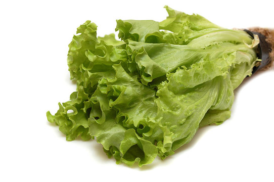 新鮮的生菜